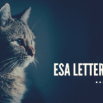 What is the significant importance of using ESA letter?