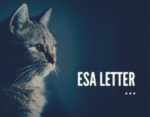 What is the significant importance of using ESA letter?