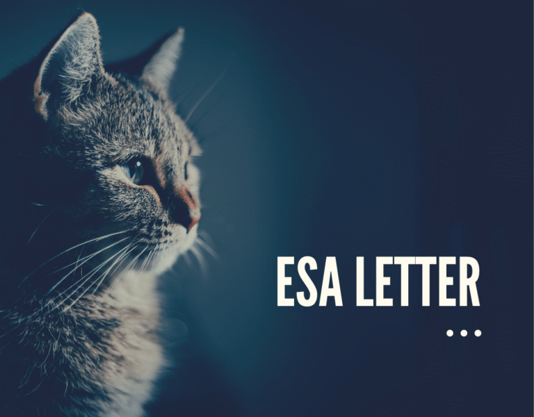 What is the significant importance of using ESA letter?