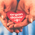 Breaking Barriers: LGBTQ+ Organ Donation FAQs