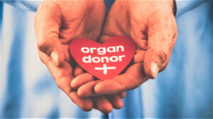 organ donor